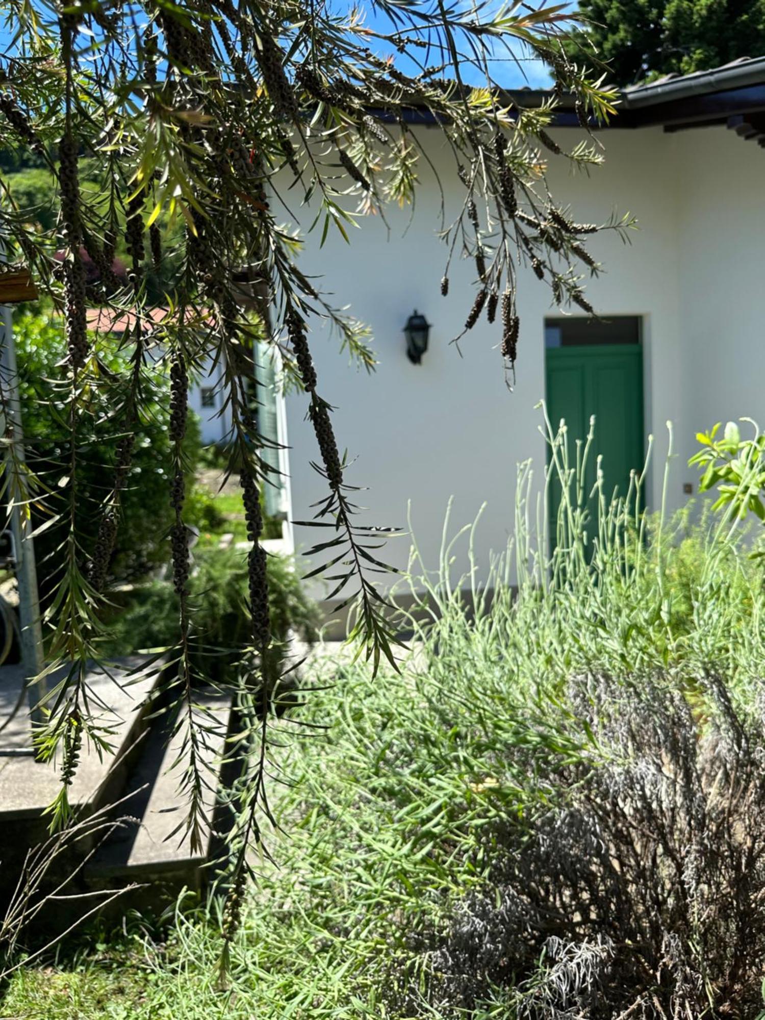Casa Del Custode: Renovated Flat With Garden In A Villa Near The Lake Stresa Esterno foto